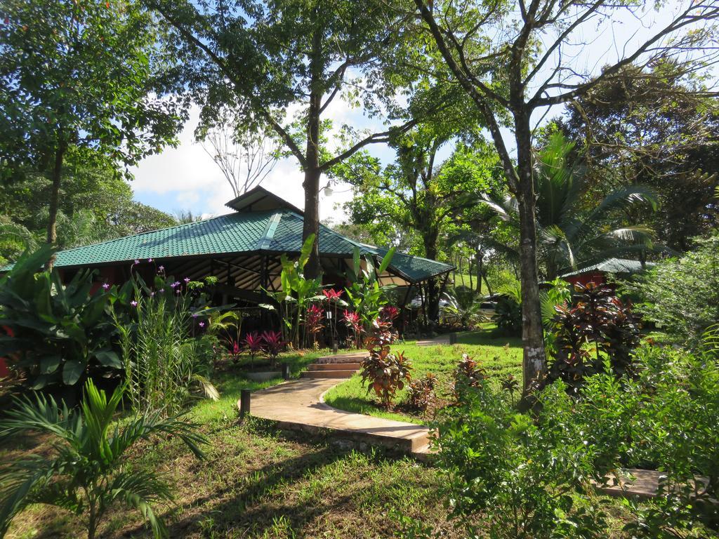 Oasis de las Palmas Ojochal Exterior foto