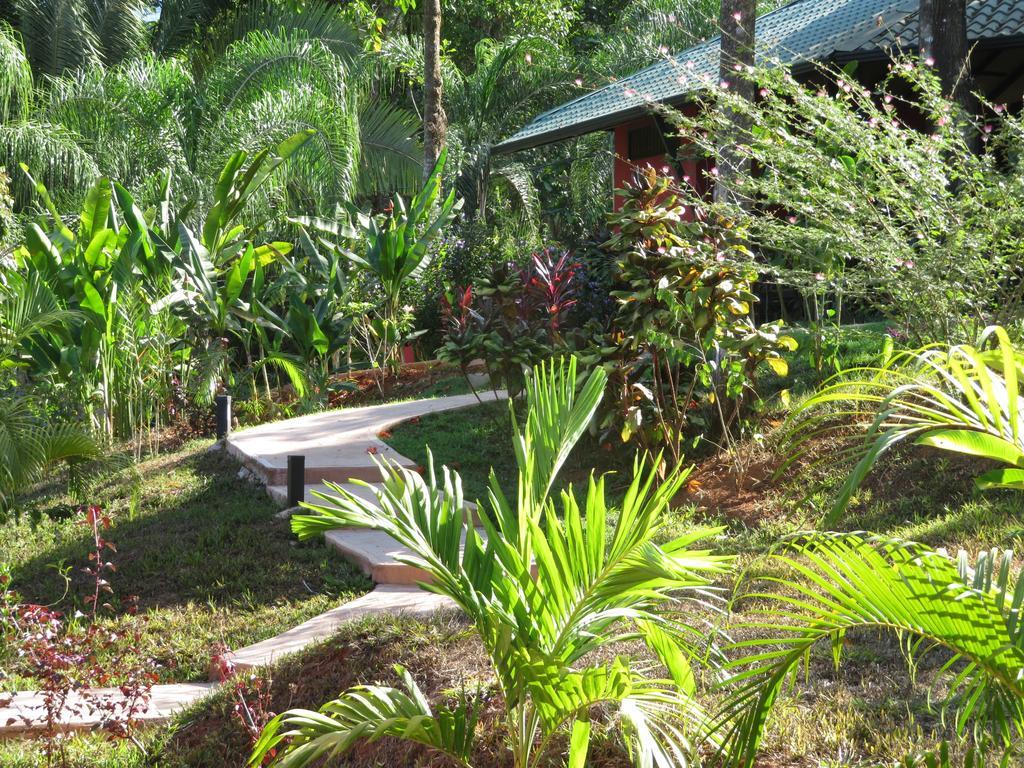 Oasis de las Palmas Ojochal Exterior foto
