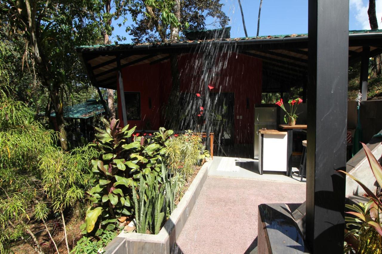 Oasis de las Palmas Ojochal Exterior foto